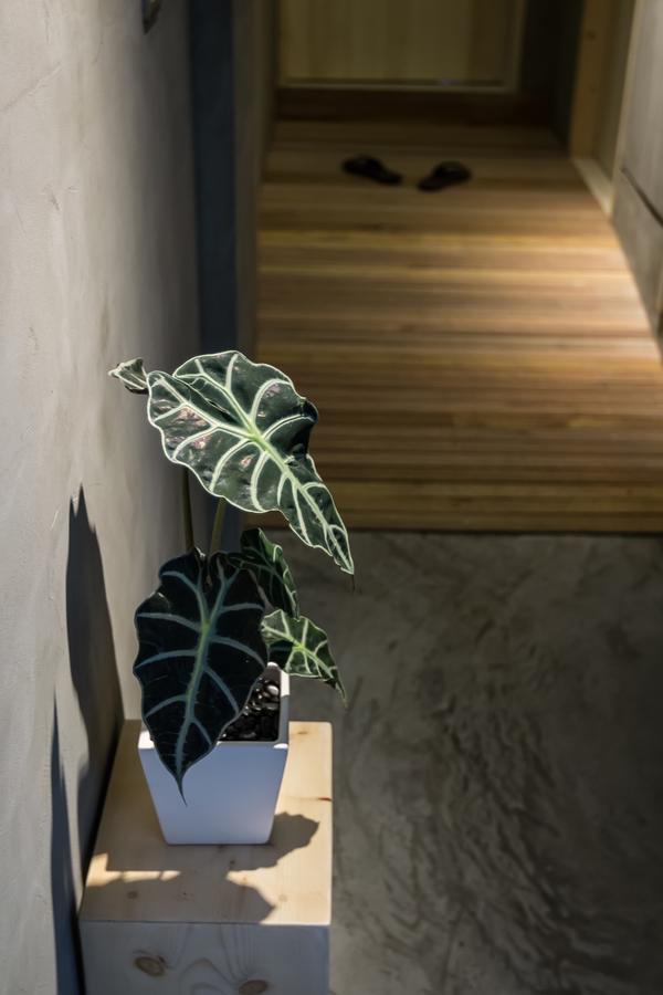 Shaoguang 188 Yuchi Exterior foto